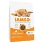 Aliments pour chat IAMS Advanced Nutrition Poulet 10 kg de IAMS, Sèche - Réf : S91099139, Prix : 37,56 €, Remise : %