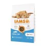 Aliments pour chat IAMS Advanced Nutrition Poisson 10 kg de IAMS, Sèche - Réf : S91099141, Prix : 36,23 €, Remise : %