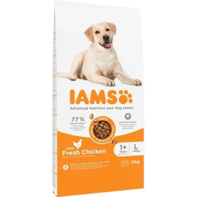 Fodder IAMS Vitality Adult Large Breed Chicken 12 kg by IAMS, Dry - Ref: S91099162, Price: 38,67 €, Discount: %