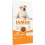 Fodder IAMS Vitality Adult Large Breed Chicken 12 kg by IAMS, Dry - Ref: S91099162, Price: 39,18 €, Discount: %