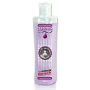 Champú Certech Premium Gato Lavanda Arándano 200 ml de Certech, Champús y acondicionadores - Ref: S9109955, Precio: 3,80 €, D...