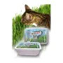 Alimentation Certech 10319 de Certech, Herbe à chat et herbe pour chats - Réf : S9109970, Prix : 2,12 €, Remise : %