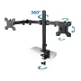 Support de table d'écran Esperanza ERW018 27" de Esperanza, Supports et rehausseurs d'écran - Réf : S91102119, Prix : 20,82 €...