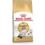 Cat food Royal Canin Ragdoll Chicken Birds 400 g by Royal Canin, Dry - Ref: S91102598, Price: 9,37 €, Discount: %