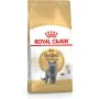 Cat food Royal Canin British Shorthair Chicken 400 g by Royal Canin, Dry - Ref: S91102600, Price: 9,73 €, Discount: %