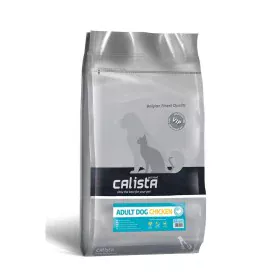 Calista | Tienda24 - Global Online Shop