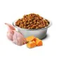 Aliments pour chat Farmina Citrouille Adulte Poulet 1,5 Kg de Farmina, Sèche - Réf : S9110426, Prix : 31,21 €, Remise : %