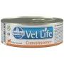 Cat food Farmina Vet Life Diet Convalescence Chicken 85 g by Farmina, Wet - Ref: S9110451, Price: 3,19 €, Discount: %