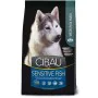 Nourriture Farmina Sensitive Fish Medium/Maxi Adulte Poisson Agneau 14 Kg 12 kg de Farmina, Sèche - Réf : S9110480, Prix : 62...