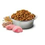 Futter Farmina N&D Ancestral Grain Canine Erwachsener Huhn 15 kg von Farmina, Trocken - Ref: S9110482, Preis: 67,13 €, Rabatt: %