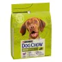 Futter Purina Dog Chow Erwachsener Lamm 2,5 kg von Purina, Trocken - Ref: S9111063, Preis: 11,53 €, Rabatt: %