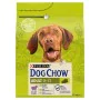 Fodder Purina Dog Chow Adult Lamb 2,5 kg by Purina, Dry - Ref: S9111063, Price: 11,79 €, Discount: %