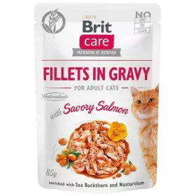 Cibo per gatti Brit Care Pollo Salmone di Brit, Umido - Rif: S9111121, Prezzo: 1,73 €, Sconto: %