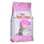 Katzenfutter Royal Canin Kitten Sterilised Vögel 3,5 kg von Royal Canin, Trocken - Ref: S9111200, Preis: 53,86 €, Rabatt: %