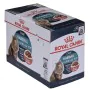 Cat food Royal Canin Hairball Care Gravy Meat 12 x 85 g by Royal Canin, Wet - Ref: S9111201, Price: 25,06 €, Discount: %