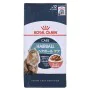 Aliments pour chat Royal Canin Hairball Care Gravy Viande 12 x 85 g de Royal Canin, Humide - Réf : S9111201, Prix : 25,41 €, ...