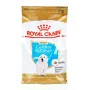 Fodder Royal Canin Golden Retriever Puppy Kid/Junior Rice Birds 3 Kg by Royal Canin, Dry - Ref: S9111211, Price: 32,07 €, Dis...