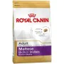 Nourriture Royal Canin Adulte Poulet Maïs Oiseaux 500 g de Royal Canin, Sèche - Réf : S9111214, Prix : 7,93 €, Remise : %