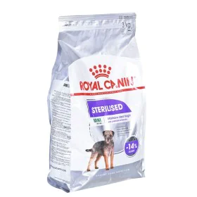 mangime Royal Canin Mini Sterilised Adulto Pollo 3 Kg di Royal Canin, Secco - Rif: S9111223, Prezzo: 28,59 €, Sconto: %