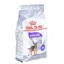 Nourriture Royal Canin Mini Sterilised Adulte Poulet 3 Kg de Royal Canin, Sèche - Réf : S9111223, Prix : 28,59 €, Remise : %