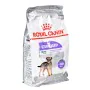 Futter Royal Canin Mini Sterilised Erwachsener Huhn 1 kg von Royal Canin, Trocken - Ref: S9111224, Preis: 13,58 €, Rabatt: %