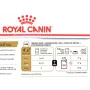 Alimentation humide Royal Canin Chihuahua Adult 85 g de Royal Canin, Humide - Réf : S9111228, Prix : 15,40 €, Remise : %