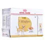 Alimentation humide Royal Canin Chihuahua Adult 85 g de Royal Canin, Humide - Réf : S9111228, Prix : 15,40 €, Remise : %