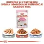 Cibo per gatti Royal Canin Kitten Jelly Pollo 85 g di Royal Canin, Umido - Rif: S9111232, Prezzo: 22,87 €, Sconto: %