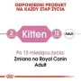 Cibo per gatti Royal Canin Kitten Jelly Pollo 85 g di Royal Canin, Umido - Rif: S9111232, Prezzo: 22,87 €, Sconto: %