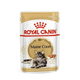 Cat food Royal Canin RC POS musthave Meat 12 x 85 g by Royal Canin, Wet - Ref: S9111250, Price: 21,01 €, Discount: %