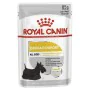 Comida húmida Royal Canin Dermacomfort Carne 12 x 85 g de Royal Canin, Húmida - Ref: S9111268, Preço: 17,13 €, Desconto: %