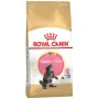 Cibo per gatti Royal Canin Maine Coon Kitten Riso Uccelli 2 Kg di Royal Canin, Secco - Rif: S9111296, Prezzo: 40,47 €, Sconto: %