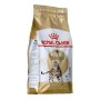 Katzenfutter Royal Canin Bengal Adult Erwachsener Pflanzlich Vögel 2 Kg von Royal Canin, Trocken - Ref: S9111312, Preis: 36,0...