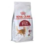 Comida para gato Royal Canin Regular Fit 32 Adulto Milho Pássaros 400 g de Royal Canin, Seca - Ref: S9111314, Preço: 7,76 €, ...