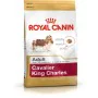 Io penso Royal Canin Cavalier King Charles Adulto 1,5 Kg di Royal Canin, Secco - Rif: S9111323, Prezzo: 17,99 €, Sconto: %