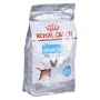 Futter Royal Canin Urinary Erwachsener Mais Vögel 1 kg von Royal Canin, Trocken - Ref: S9111326, Preis: 13,06 €, Rabatt: %