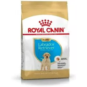 Nourriture Royal Canin Petit/Junior Poulet 3 Kg de Royal Canin, Sèche - Réf : S9111331, Prix : 32,07 €, Remise : %