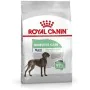 penso Royal Canin Adulto Frango Arroz Pássaros 3 Kg de Royal Canin, Seca - Ref: S9111334, Preço: 29,65 €, Desconto: %