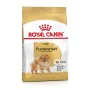 Nourriture Royal Canin BHN Breed Pomaranian Adulte Poulet 500 g de Royal Canin, Sèche - Réf : S9111355, Prix : 8,06 €, Remise...