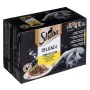 Aliments pour chat Sheba Delicacy in Jelly Poulet Dinde Canard Oiseaux 100 g de Sheba, Humide - Réf : S9111400, Prix : 9,10 €...