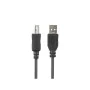 Câble USB A vers USB B Lanberg CA-USBA-15CU-0010-BK Noir 1 m de Lanberg, Câbles USB - Réf : S9115402, Prix : 2,72 €, Remise : %