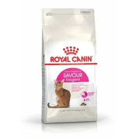 Aliments pour chat Royal Canin Savour Exigent Adulte Riz Maïs Légumes Oiseaux 10 kg de Royal Canin, Sèche - Réf : S9130117, P...