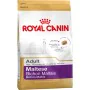 mangime Royal Canin Maltese Adult Adulto Pollo Mais Uccelli 1,5 Kg di Royal Canin, Secco - Rif: S9130132, Prezzo: 17,86 €, Sc...