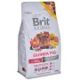 Fodder Brit Apple Corn Carrot Guinea pig Rabbit 300 g by Brit, Food - Ref: S9130138, Price: 4,94 €, Discount: %