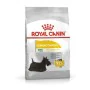 Fodder Royal Canin Mini Dermacomfort Adult Chicken Veal Vegetable 3 Kg by Royal Canin, Dry - Ref: S9131548, Price: 28,25 €, D...