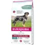 Pienso Eukanuba Daily Care Adulto Salmón Pescado 12 kg de Eukanuba, Seca - Ref: S9133878, Precio: 56,00 €, Descuento: %