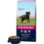 Nourriture Eukanuba Adulte Poulet 15 kg de Eukanuba, Sèche - Réf : S9145330, Prix : 55,10 €, Remise : %