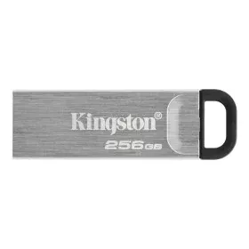 Clé USB Kingston DTKN/256GB USB 3.2 Argenté 256 GB de Kingston, Clés USB - Réf : S9146062, Prix : 24,35 €, Remise : %