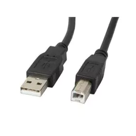 Câble USB 2.0 A vers USB B Lanberg CA-USBA-11CC-0010-BK Noir 1 m (1 Unité) de Lanberg, Câbles USB - Réf : S9159073, Prix : 1,...