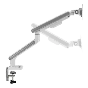 Screen Table Support Ergo Office ER-751 17" by Ergo Office, Monitor Arms & Stands - Ref: S9165085, Price: 64,05 €, Discount: %